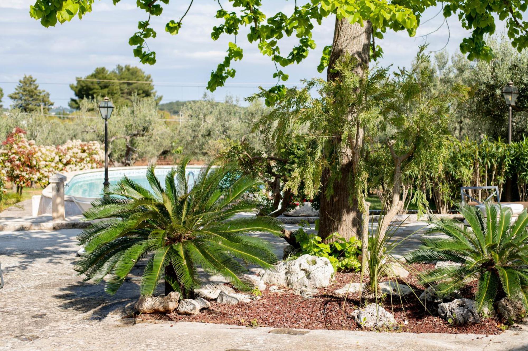 Masseria Trulli Bruni Locorotondo Ngoại thất bức ảnh